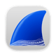 Wireshark